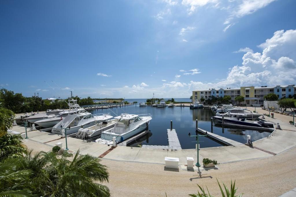 Licensed Mgr - Modern 3/3.5 Villa - Key Largo'S Most Upscale Oceanfront Resort! ภายนอก รูปภาพ